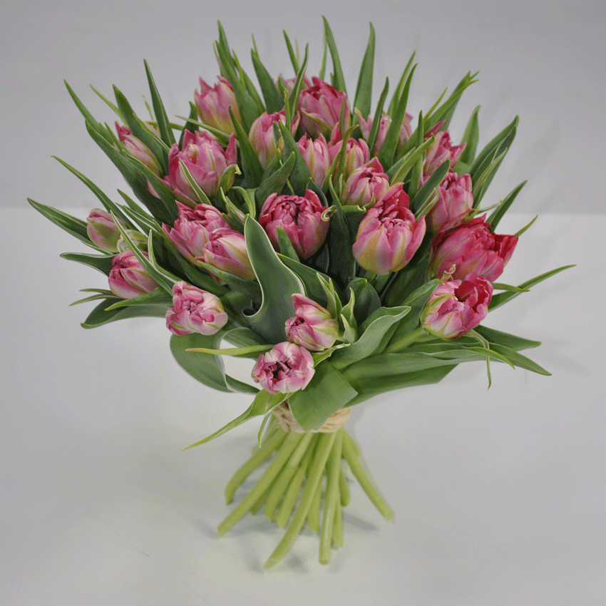 Image retouching services Image retouching services